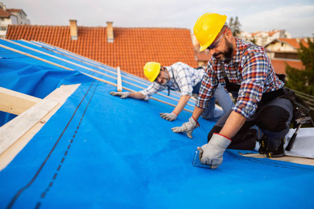 Best Roof Gutter Cleaning  in Muse, PA
