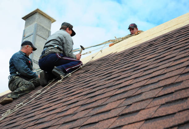 Best Commercial Roofing Services  in Muse, PA